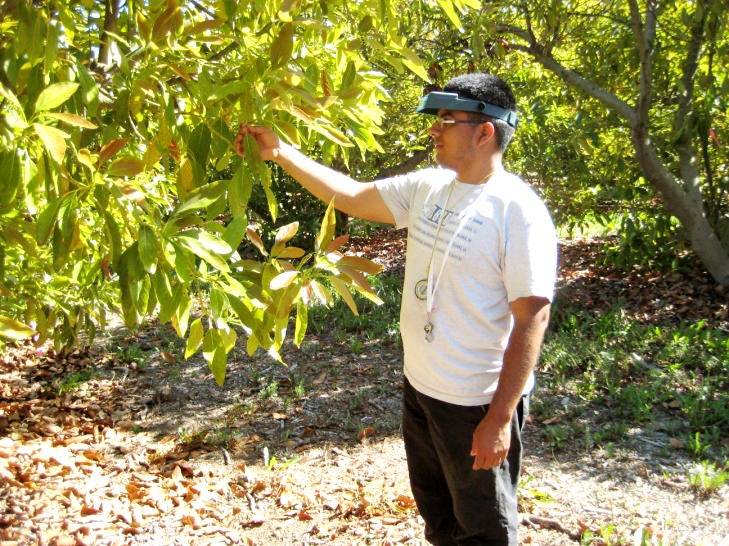 Jesus R. Lara Artiga