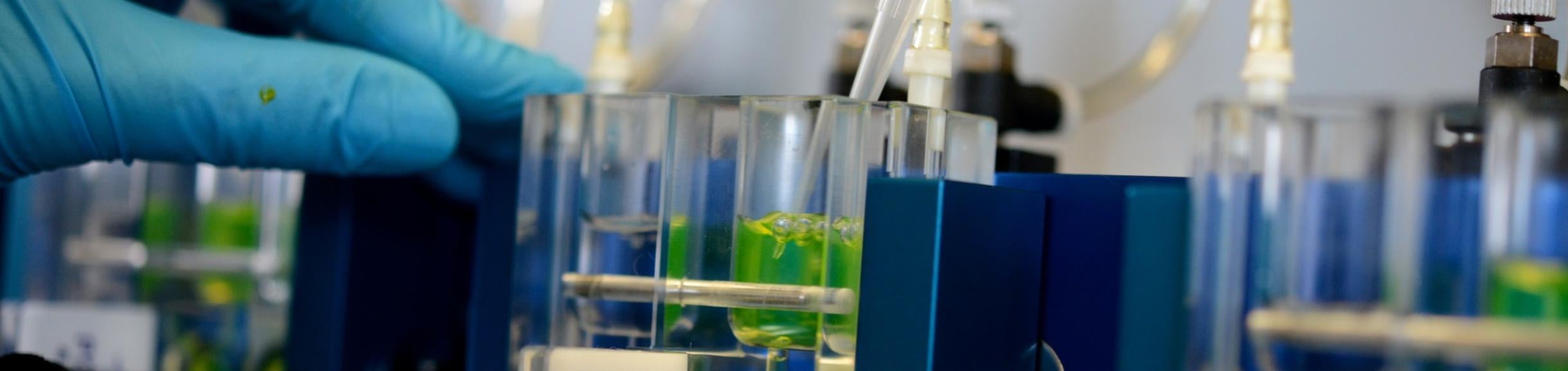 devices on the bench