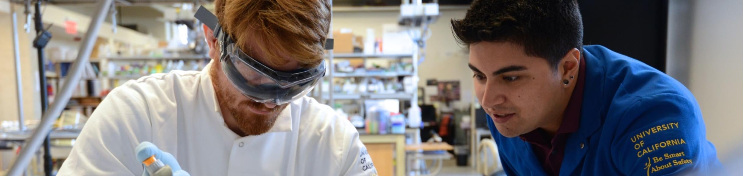 Working at the bench