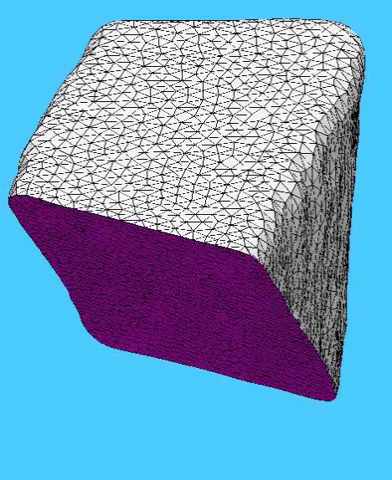 Maize Epidermal Cell