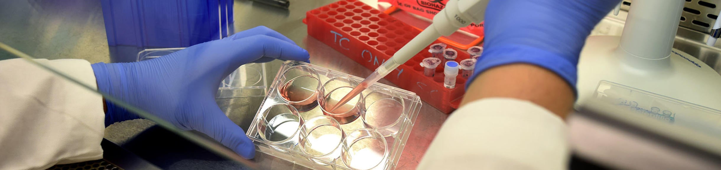 hood work pink liquid