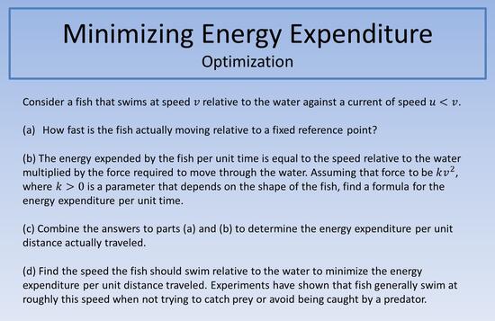 Minimizing Energy Expenditure
