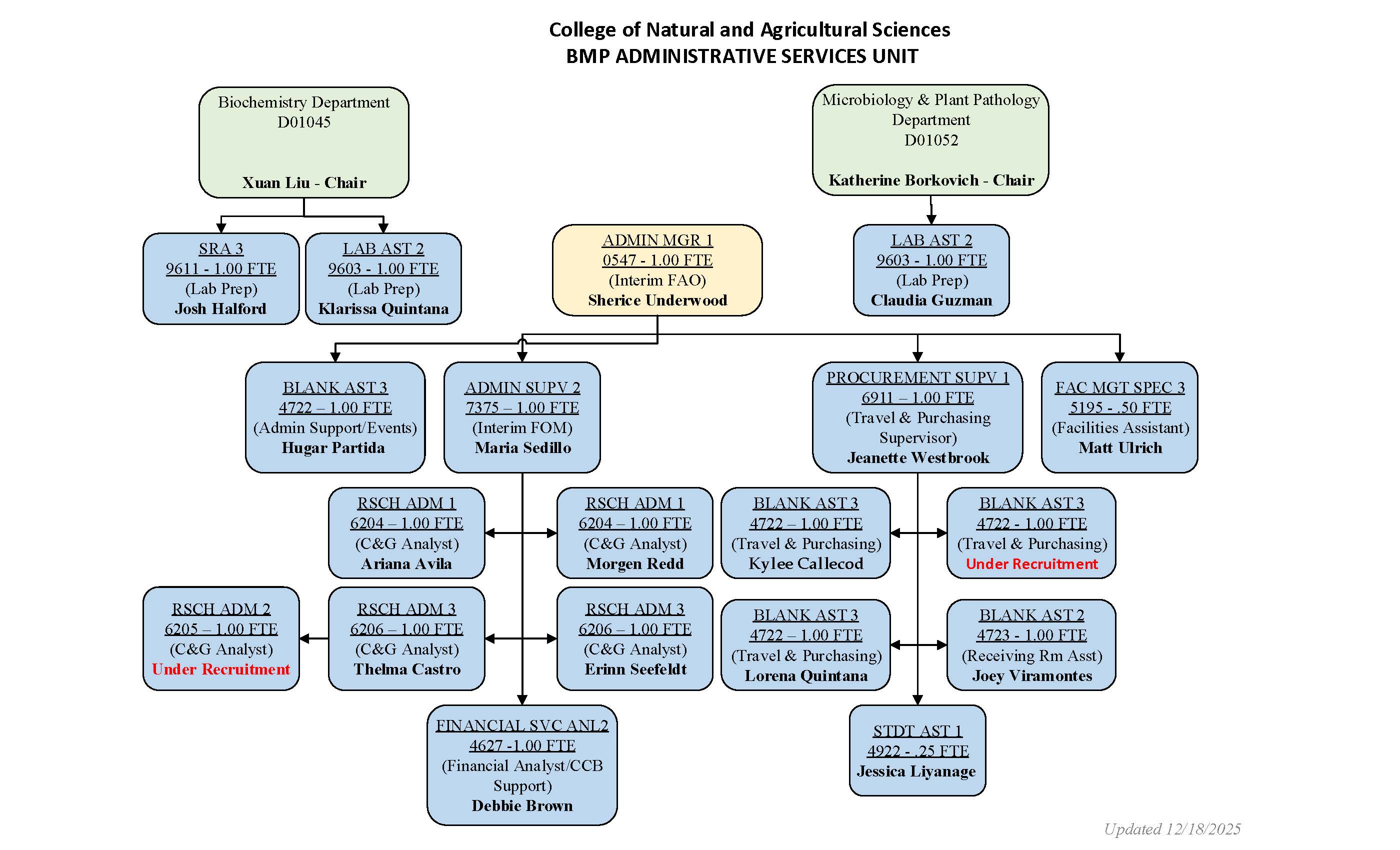 BMP Organizational Chart 12/18/25