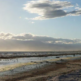 The Salton Sea