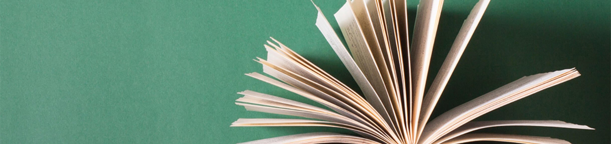 an open book on top of a row of books