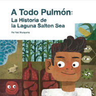 a-todo-pulmon-la-historia-de-la-laguna-salton-sea