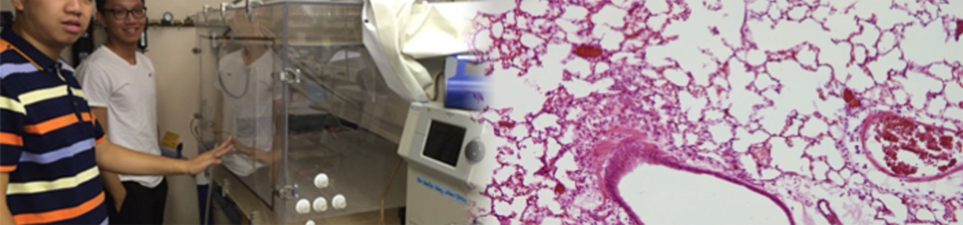 small environmental chamber