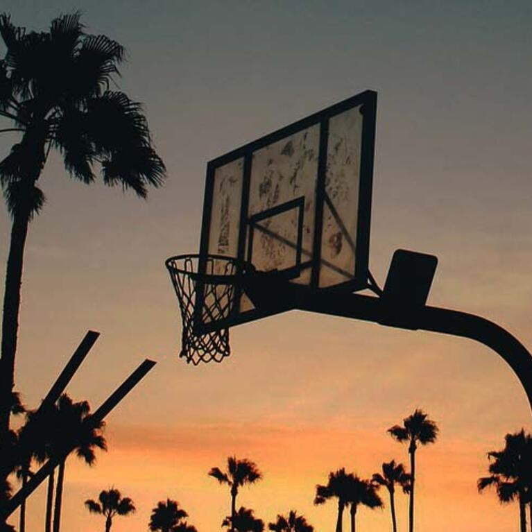 Basketball hoop at sunset with palm trees