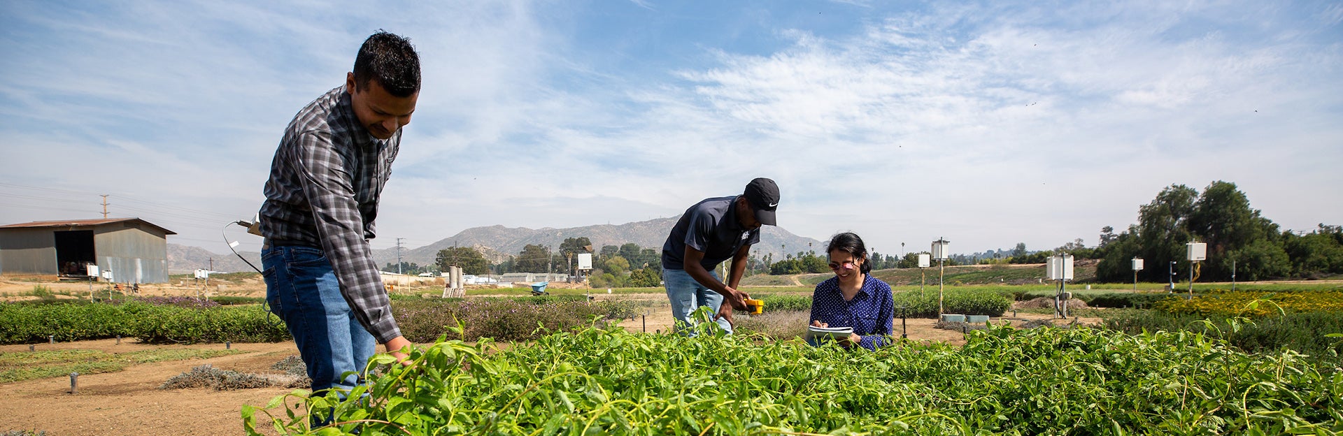 Research team in the field