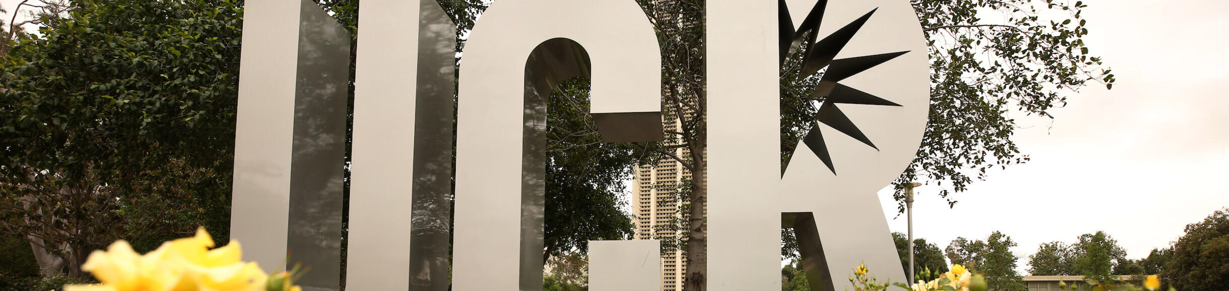 UCR Sign with yellow roses
