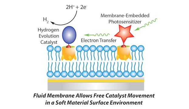 Nanostructures for artificial synthesis