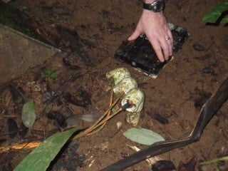 Soil Observatory System AMR sensors respiration chamber