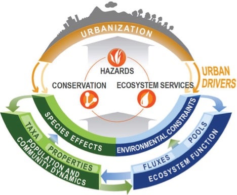Conceptual diagram of research into sustainability threats