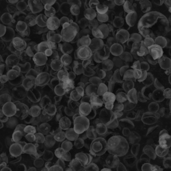 Energy Conversion and Storage