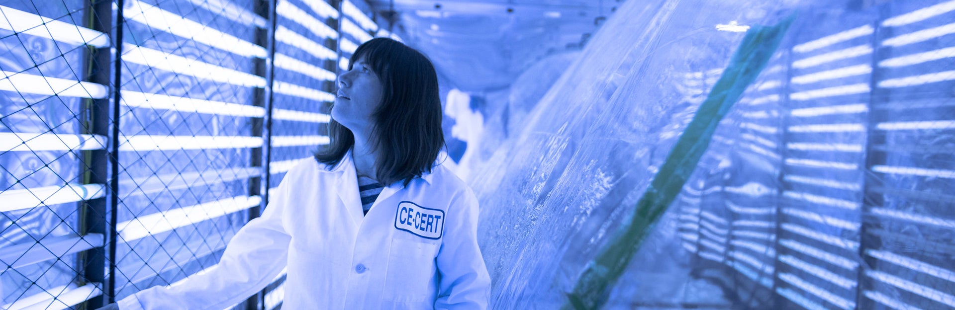 Corporate and Foundation Relations 