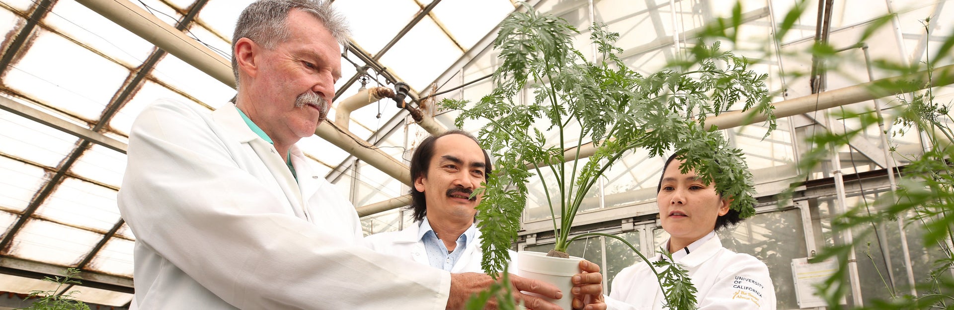 Corporate and Foundation Relations 