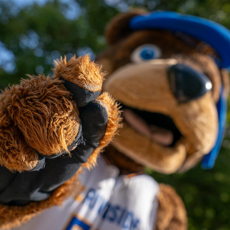 Scotty Highlander pointing