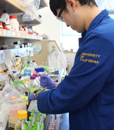 Undergraduate Students