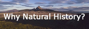 why-natural-history-button.jpg
