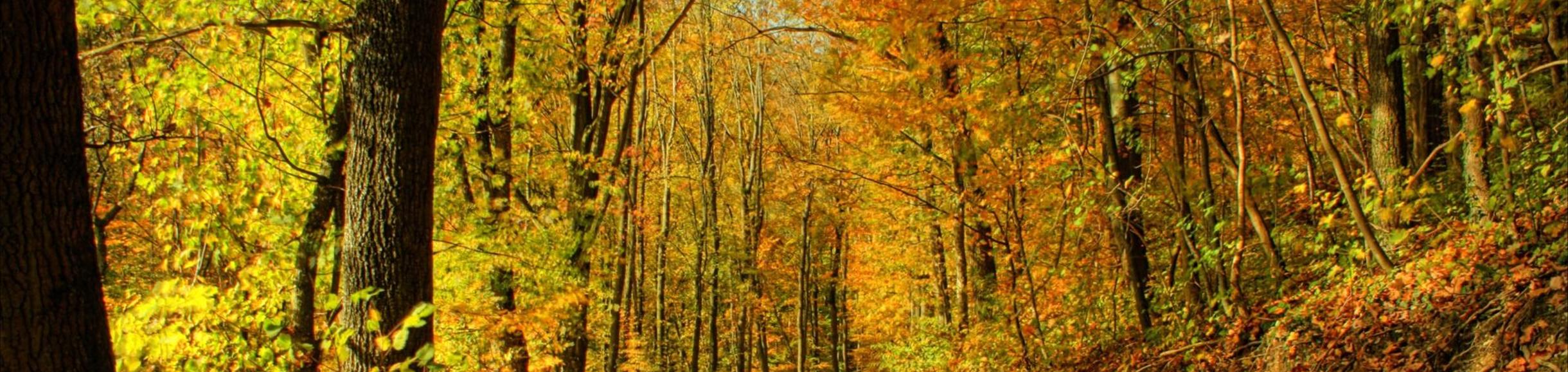 Northampton, Massachusetts