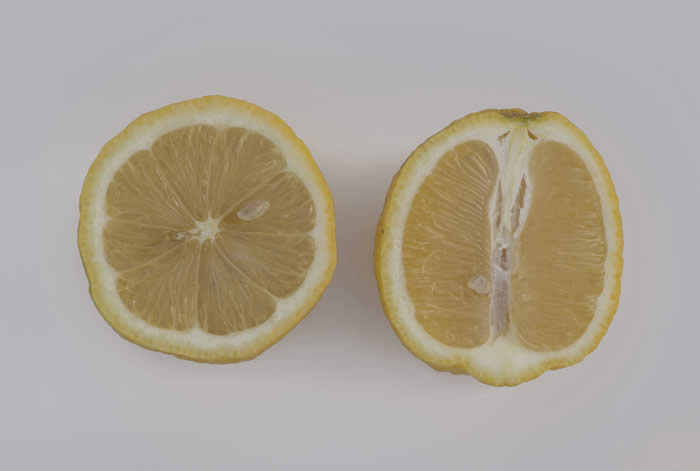 AllenNewmanEurekacrc3496_08