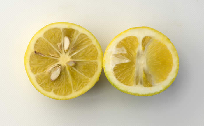 Yuma citrange CRC3205007