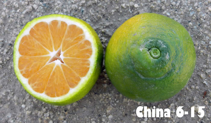 china6-1518c-14-8002