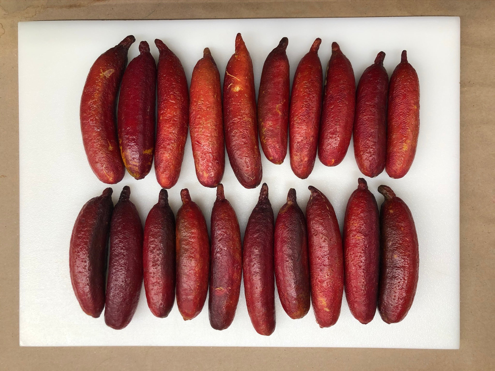 Ruby my dear P2014-176-38 (2)