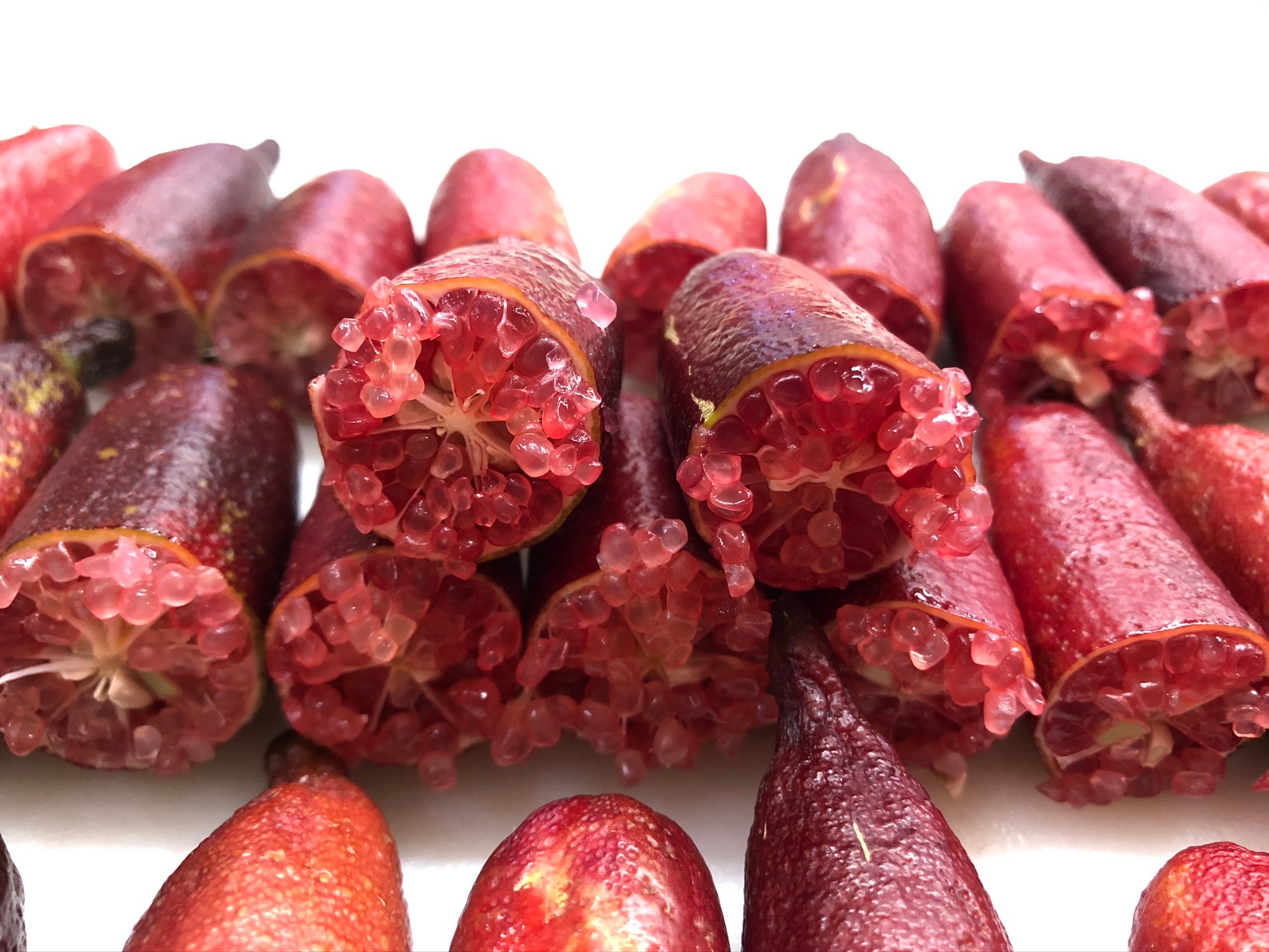 Ruby my dear P2014-176-38 (1)