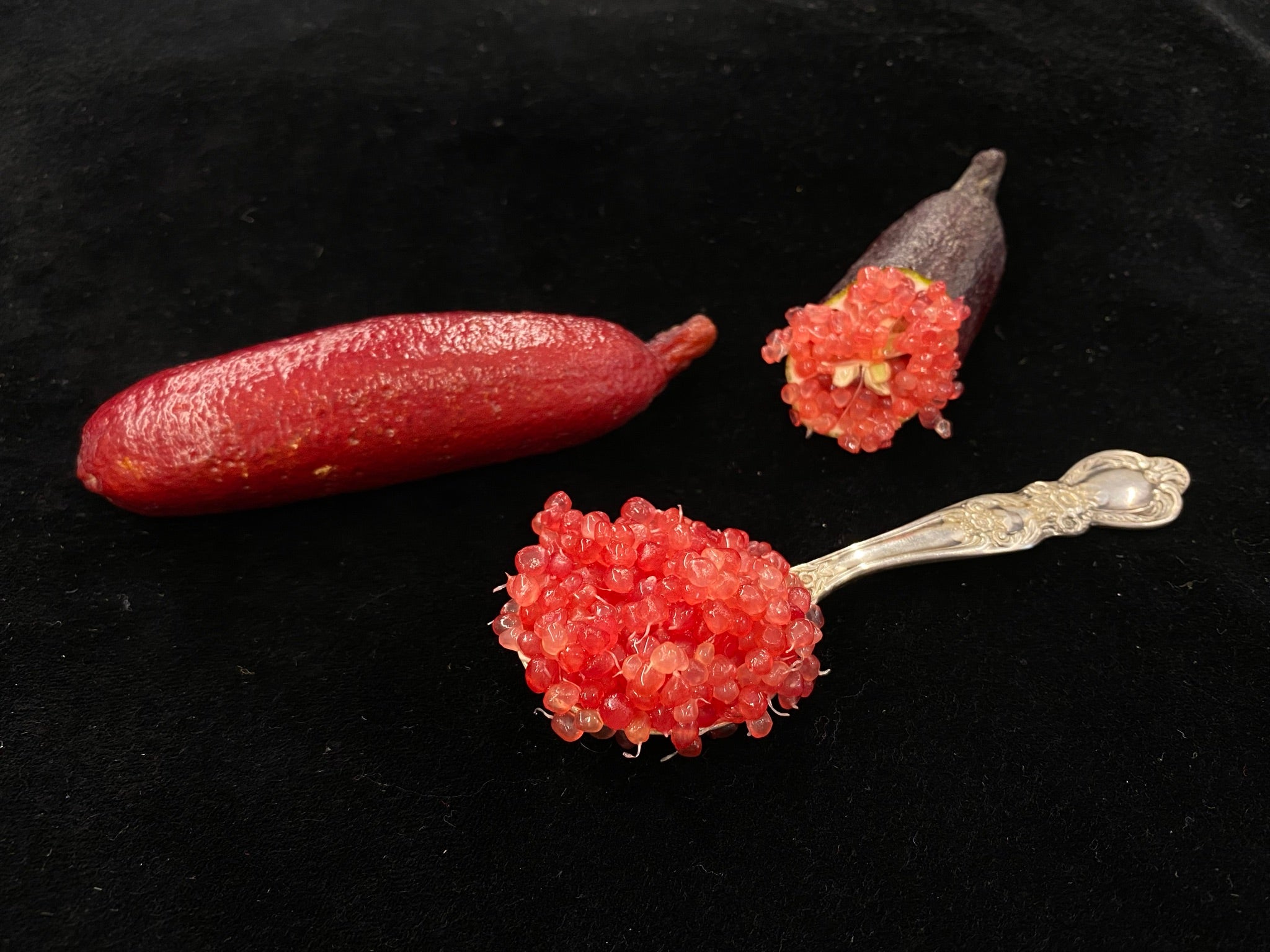 Ruby my dear P2014-176-38 (3)