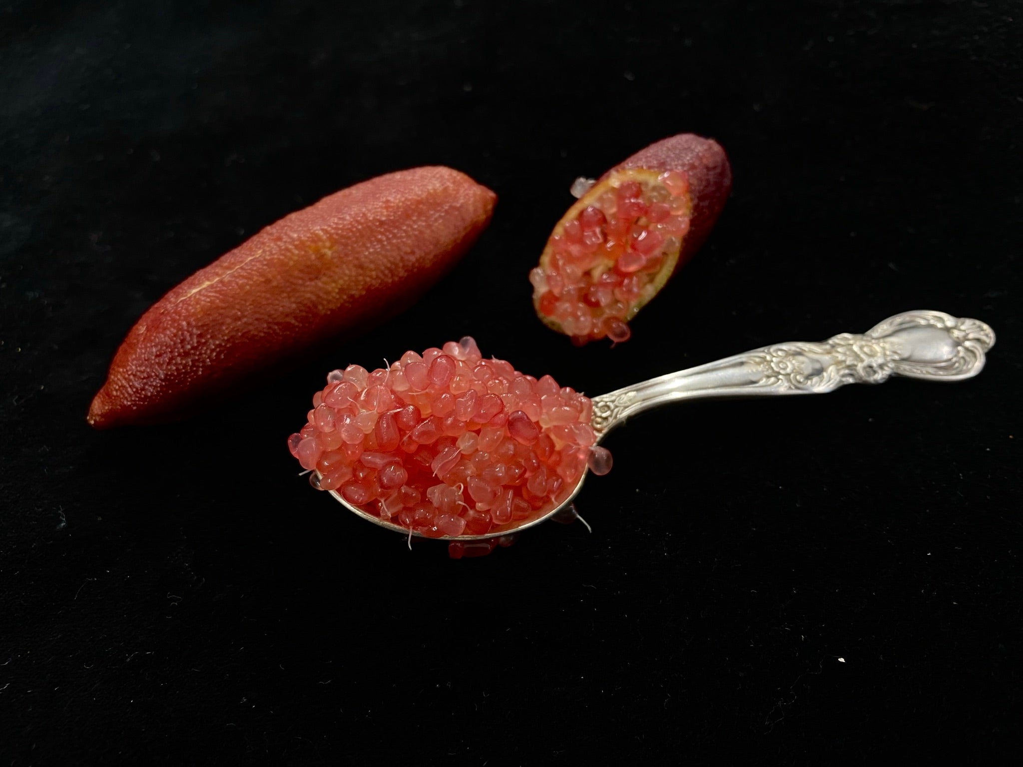 Pink Sunset P2014-175-22 (3)