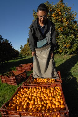 nagamibeckfallbrook109_000