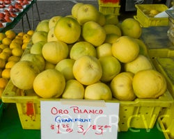 oroblancopritchettsclaritafm001