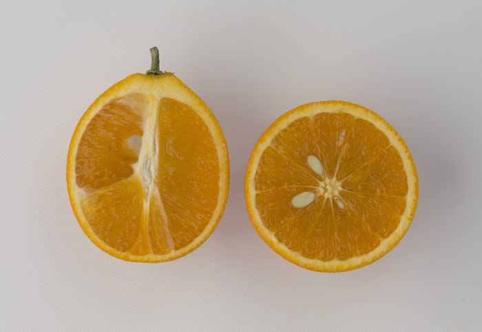 ovalecalabresesweetorangecrc3921008