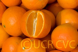 pagemandaringarciasmfm001