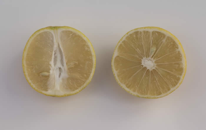 palestinesweetlimecrc1482004