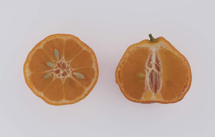 poonarangpurlimecrc4135013