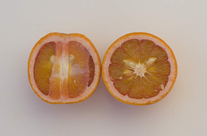 riofarmsvanigliasanguignoacidlessorangecrc4128012