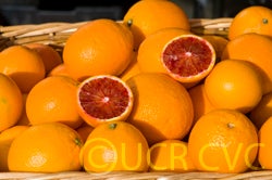 Tarocco 7 blood orange hfm001