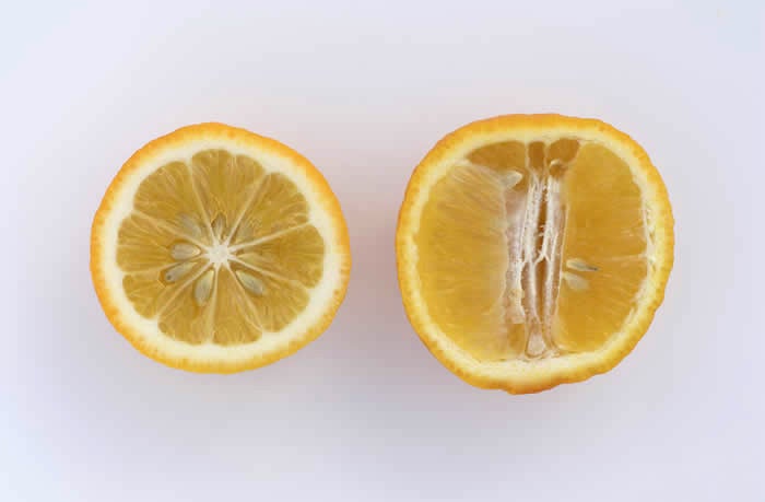 Volkamer lemon crc3050016.jpg