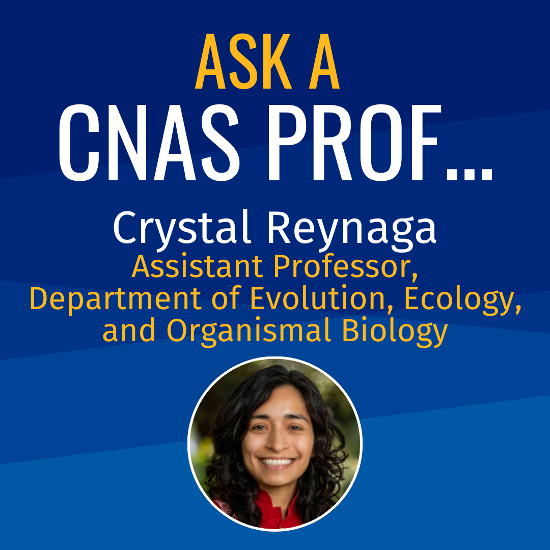 Ask a CNAS Prof Crystal Reynaga