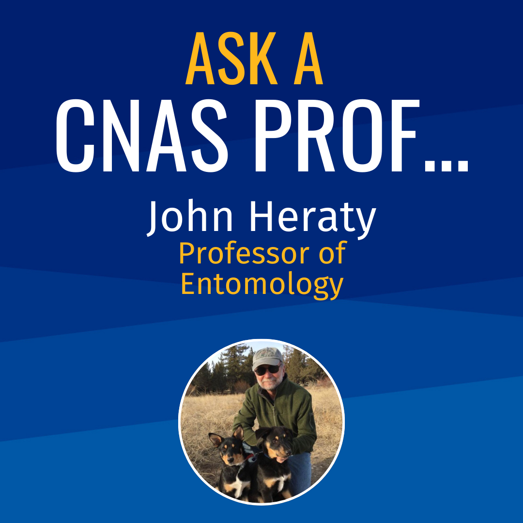 Ask a CNAS Prof John Heraty