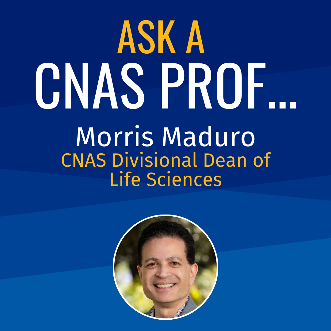 Ask a CNAS Prof Morris Maduro