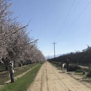 pollinatorhealtharchive