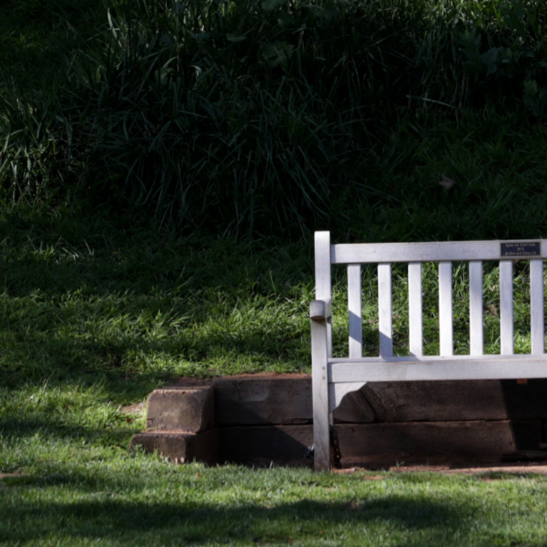 Botanic-Gardens-Bench