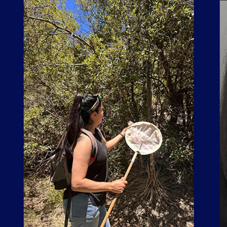 Finding Her Hive - A Summer RISE Student's Story