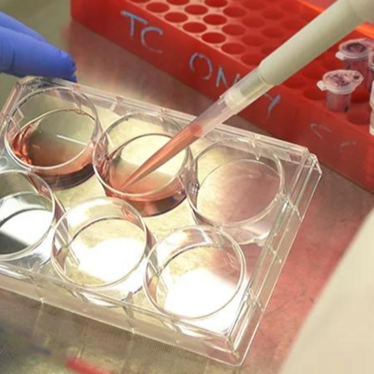 Gloved hands doing pipet work in biochemistry lab