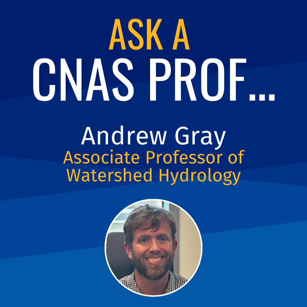 Ask a CNAS Prof Andrew Gray