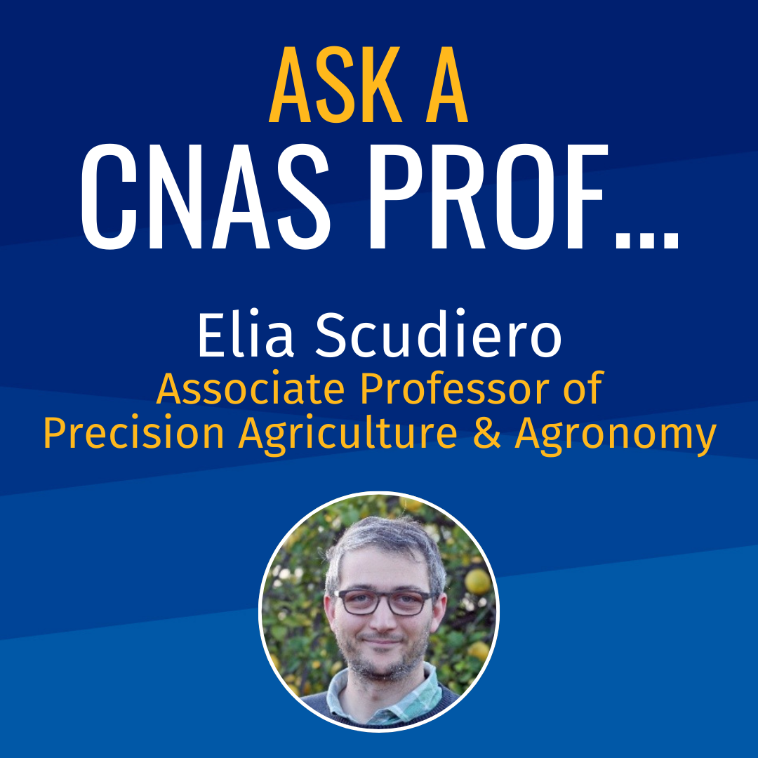 Ask a CNAS Prof Elia Scudiero