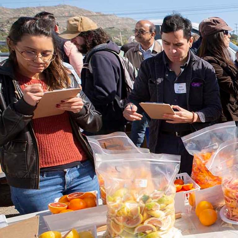 Tasting and rating new varieties of citrus developed at UC Riverside. (Stan Lim/UCR)